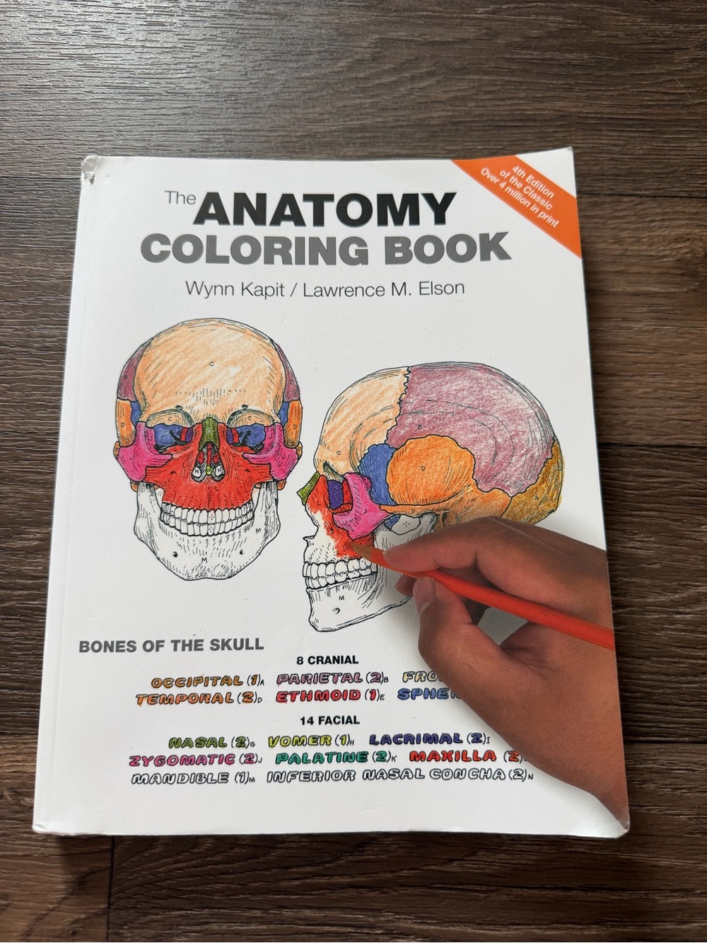 The Anatomy Coloring Book Paperback